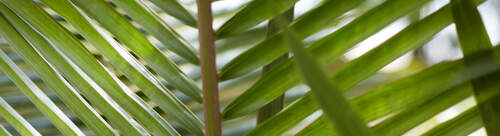 Product Image Pending for Starborough Product Image Pending for Starborough
