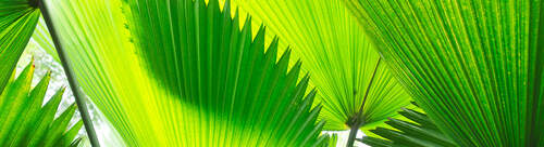 Product Image Pending for Starborough Product Image Pending for Starborough
