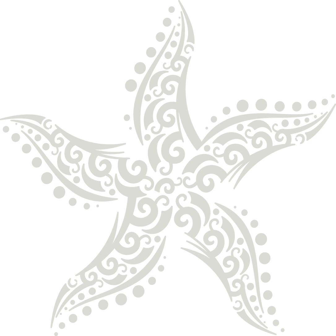 Starborough Logo Star
